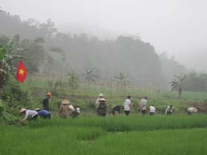 Nông dân xóm Phung, xã Ngọc Mỹ (Tân Lạc) tích cực làm thủy lợi nội đồng.

